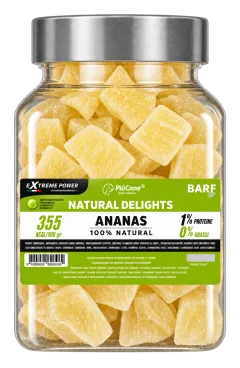 PiùCane Extreme Power Natural Delights Ananas