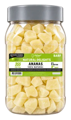 PiùCane Extreme Power Natural Delights Ananas, 280 g