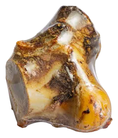 Ginocchio di Manzo Naturale - PiùCane