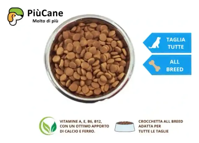 PiùCane Original - Dettaglio crocchette al manzo