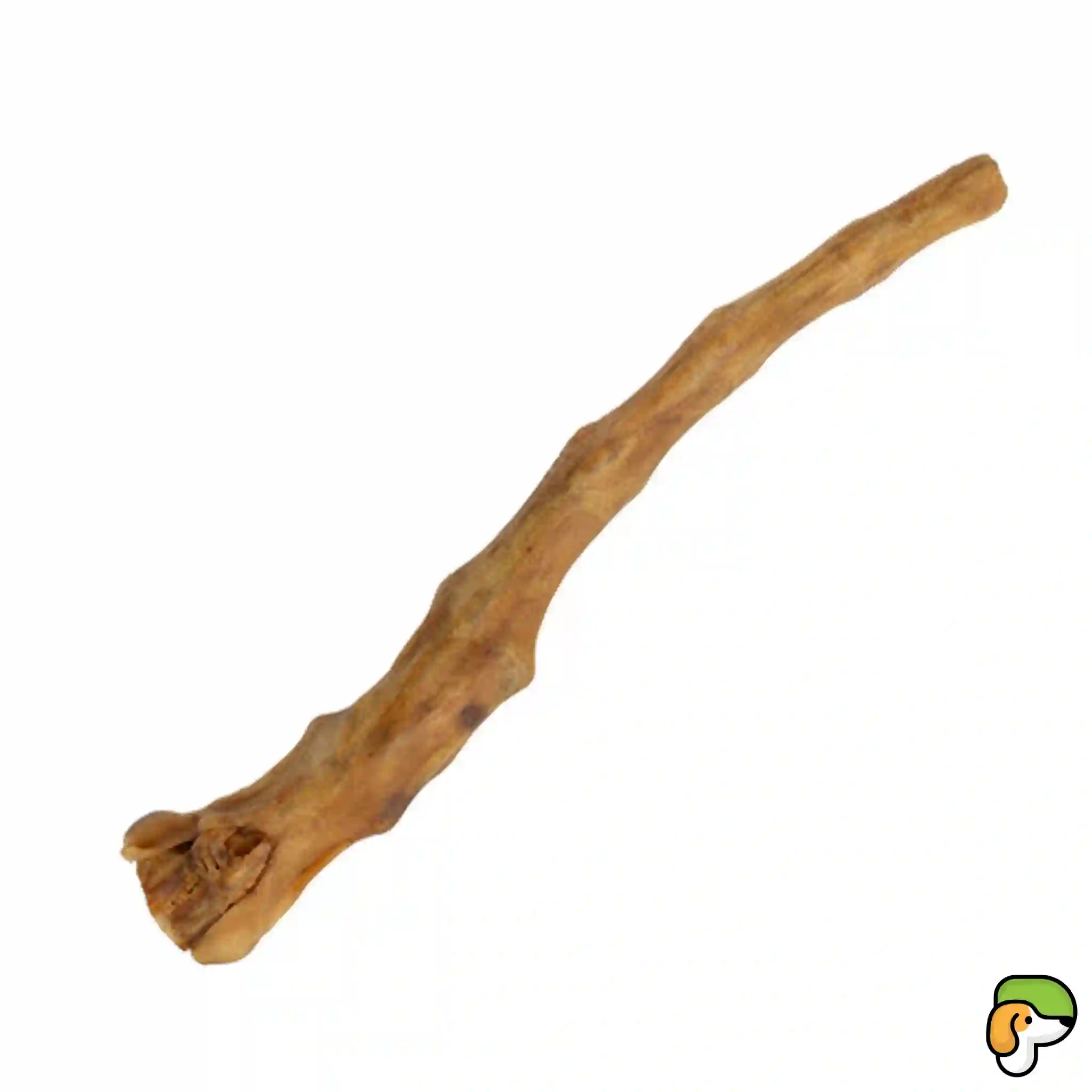 Coda di Bufalo Essiccata - PiùCane