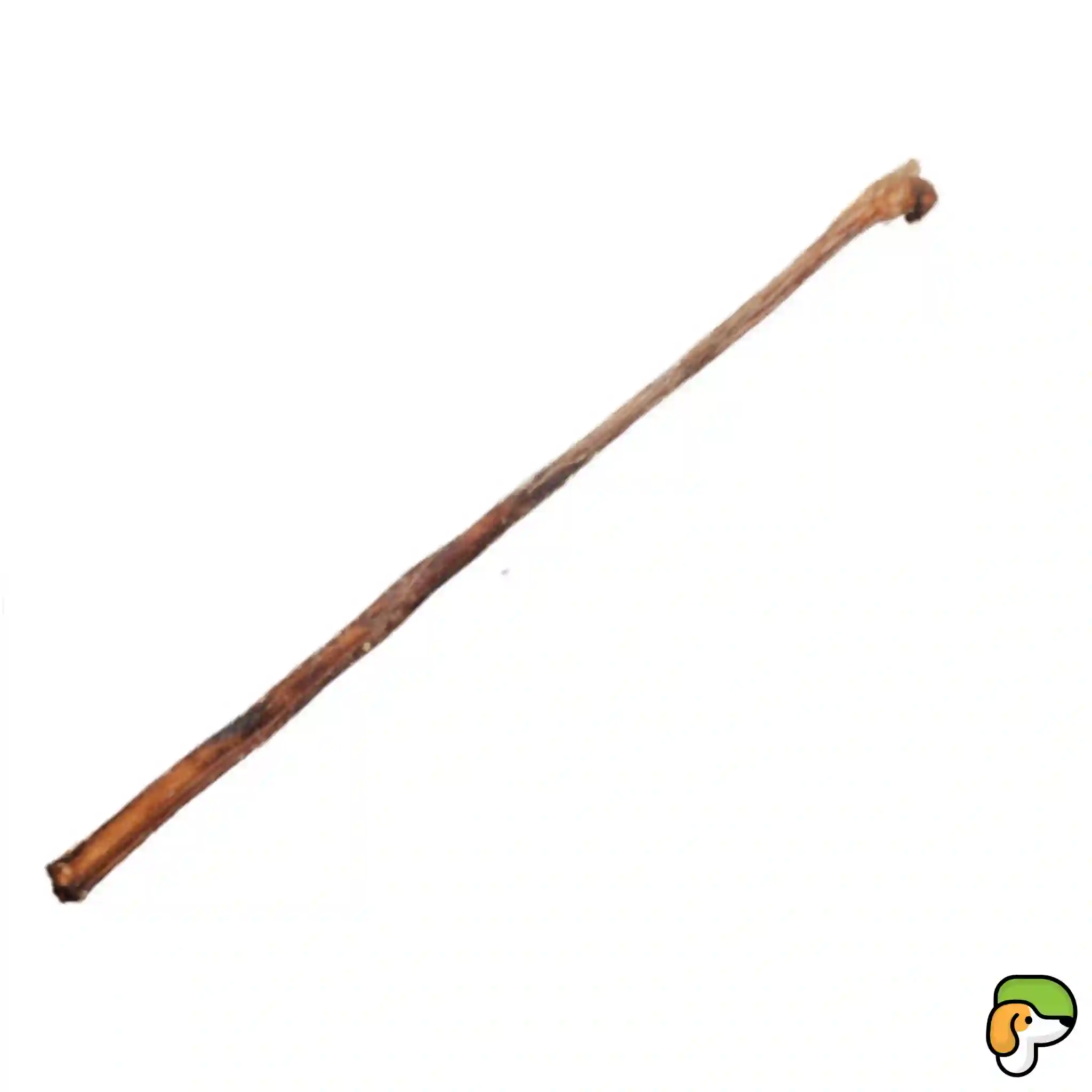 Tendine di Toro XXL - PiùCane