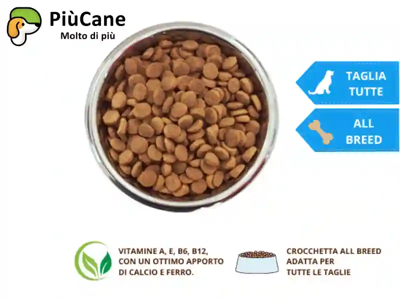 PiùCane Original - Dettaglio crocchette al manzo